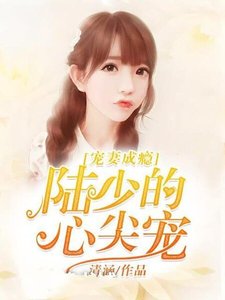 宠妻成瘾:陆少的心尖宠