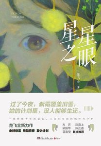 星星之眼(出书版)