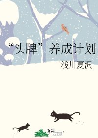 “头牌”养成计划